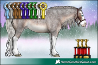 Horse Color:Silver Brown Roan Splash