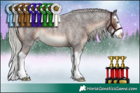 Horse Color:Silver Brown Roan Splash