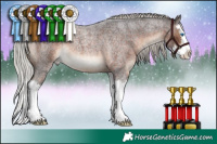 Horse Color:Silver Brown Roan Splash