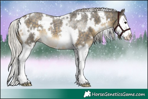 Horse Color:White Spotted Silver Buckskin Roan Splash 