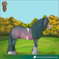 Horse Color:Watercolor Brown Splash Tobiano 