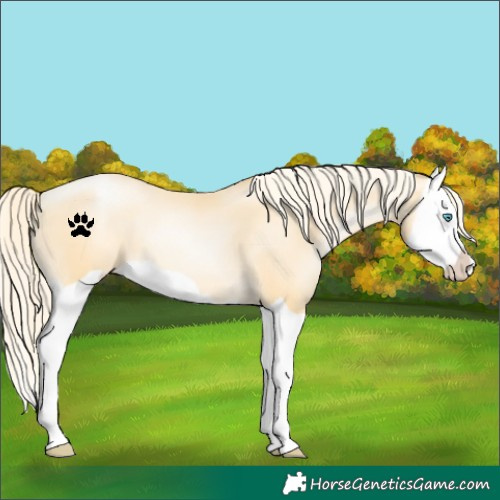 Horse Color:Palomino Pearl Splash