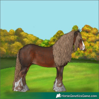 Horse Color:Liver Chestnut Splash Tobiano 