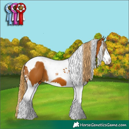 Horse Color:Chestnut Splash Tobiano