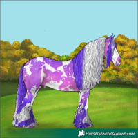 Horse Color:Watercolor White Spotted Bay Splash Tobiano 
