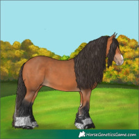 Horse Color:Bay Splash Tobiano