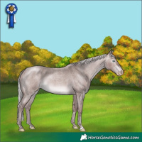 Horse Color:Gray Platinum Chocolate Silver Perlino Roan 