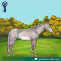 Horse Color:Gray Platinum Chocolate Silver Perlino Roan 