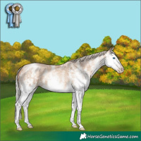 Horse Color:Gray White Spotted Silver Classic Champagne Ice Pearl Splash 
