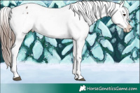 Horse Color:White Spotted Liver Chestnut Appaloosa Rabicano