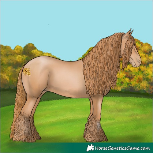 Horse Color:Chestnut Pearl 