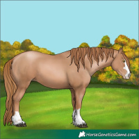 Horse Color:Chestnut Pearl 