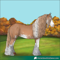Horse Color:Chestnut Sabino 