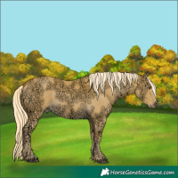 Horse Color:Palomino Ice 