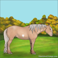 Horse Color:Silver Amber Champagne Frame 