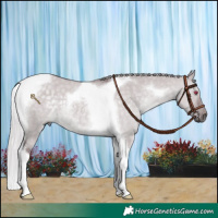 Horse Color:Chocolate Silver Grullo Chinchilla Tobiano 