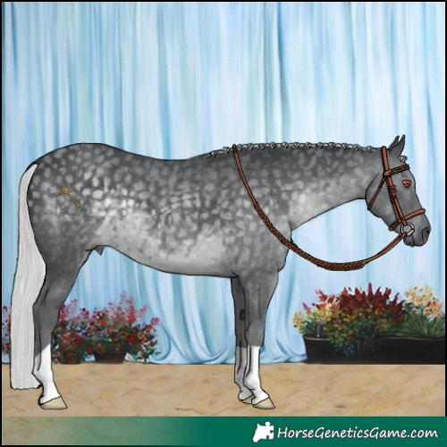 Horse Color:Silver Black Chinchilla 