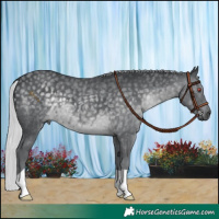 Horse Color:Silver Black Chinchilla 