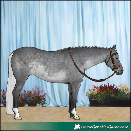 Horse Color:Silver Black Chinchilla 