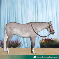 Horse Color:Chocolate Silver Grullo Chinchilla 