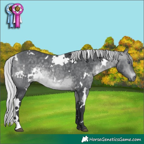 Horse Color:White Spotted Silver Brown Chinchilla 