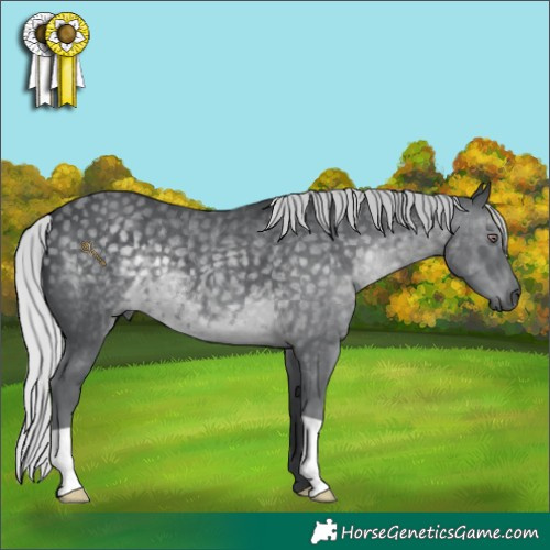 Horse Color:Silver Black Chinchilla 