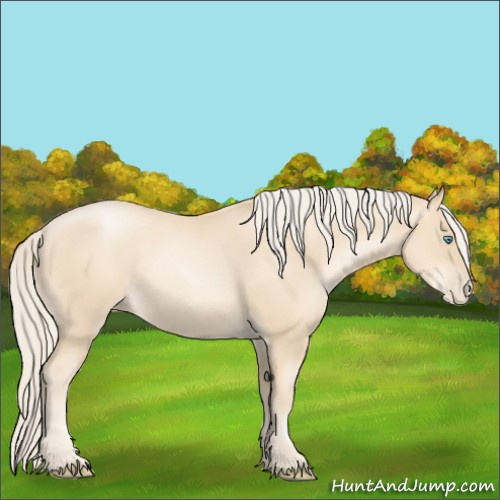 Horse Color:Gold Cream Champagne Pearl 