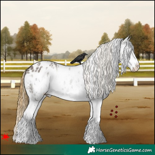 Horse Color:White Spotted Smoky Grullo Near Leopard