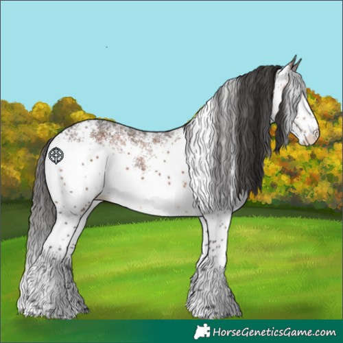 Horse Color:White Spotted Brown Splash 