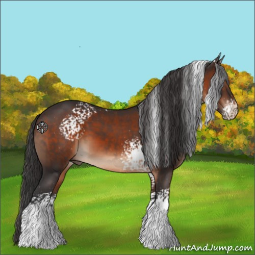 Horse Color:White Spotted Brown 