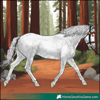 Horse Color:Gray Watercolor Palomino Roan Onyx Tobiano 