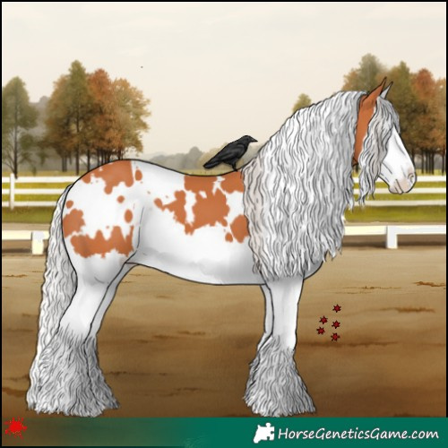 Horse Color:White Spotted Silver Bay Splash