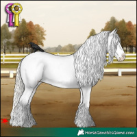 Horse Color:Silver Buckskin Roan Appaloosa Rabicano