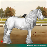 Horse Color:Gray White Spotted Grullo Tobiano Varnish 