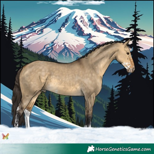 Horse Color:Buckskin Dun Sabino 