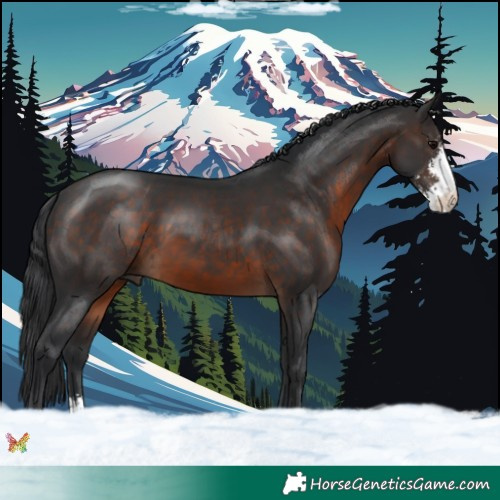 Horse Color:Brown Sabino 