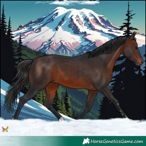 Horse Color:Brown 