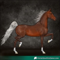 Horse Color:Silver Brown 