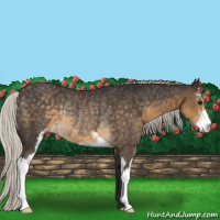 Horse Color:Silver Smoky Black Sabino Rabicano