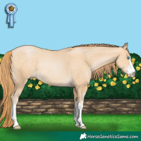 Horse Color:White Spotted Buckskin Pearl Rabicano 