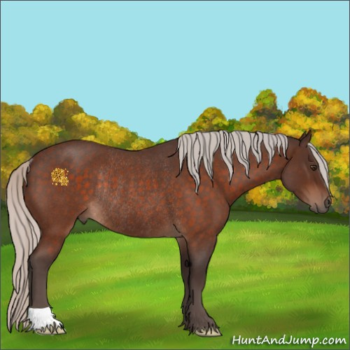 Horse Color:Silver Brown Roan Rabicano 