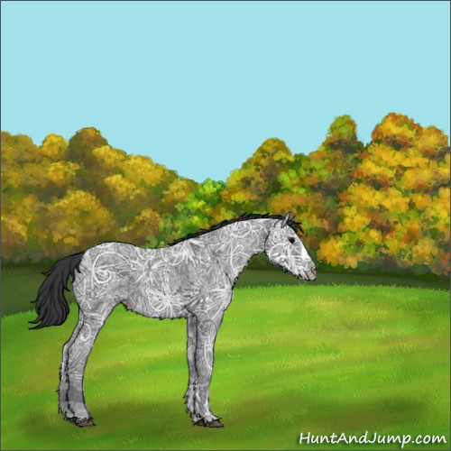 Horse Color:Black Ice