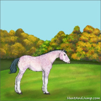 Horse Color:Watercolor Bay Ice Onyx Rabicano 