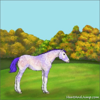 Horse Color:Watercolor Blue Onyx Ice Rabicano 