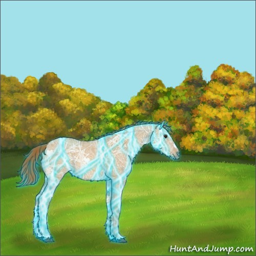 Horse Color:Thunderstruck Red Dun Ice