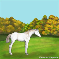 Horse Color:White Spotted Chocolate Palomino Pearl 