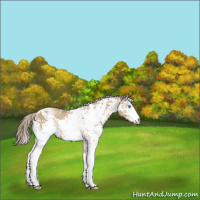 Horse Color:White Spotted Chocolate Palomino Pearl 