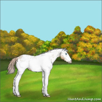 Horse Color:White Spotted Chocolate Palomino Pearl 