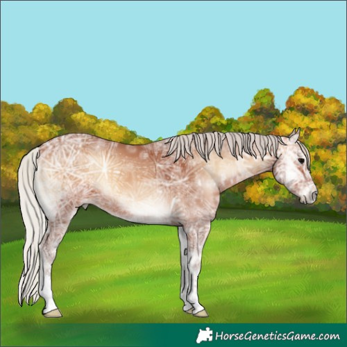 Horse Color:Silver Bay Ice Onyx 