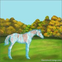 Horse Color:Thunderstruck Silver Brown Ice